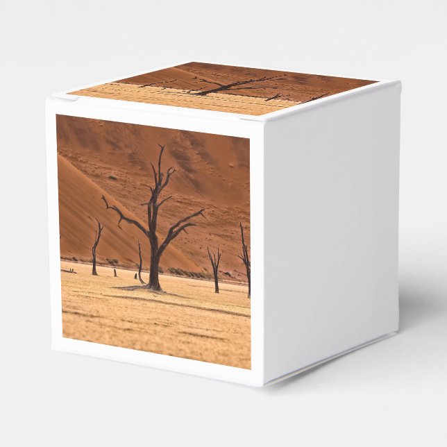 Dead Vlei, Namibia Favor Boxes (Front Side)