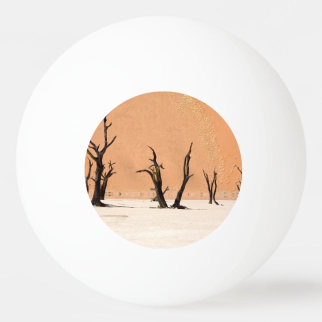 Dead Vlei, Namibia Ping Pong Ball (Back)