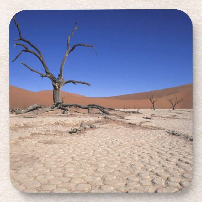 Dead Vlei, Sossusvlei, Namib-Naukluft National Beverage Coaster (Front)