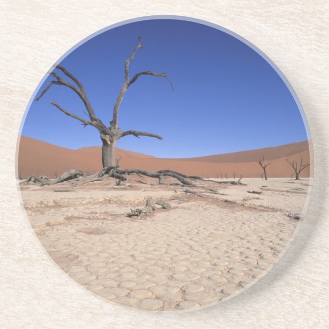 Dead Vlei, Sossusvlei, Namib-Naukluft National Drink Coaster (Front)