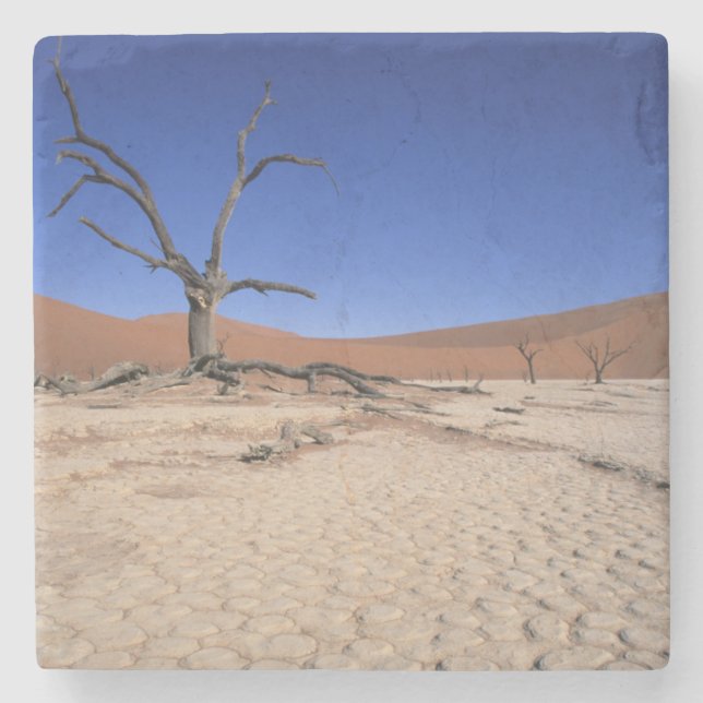 Dead Vlei, Sossusvlei, Namib-Naukluft National Stone Coaster (Front)