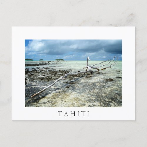 Dead wood in Tahiiti white text postcard