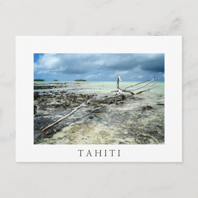 Dead wood in Tahiiti white text postcard (Front)