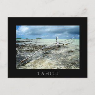 Dead wood in the Pacific black text postcard