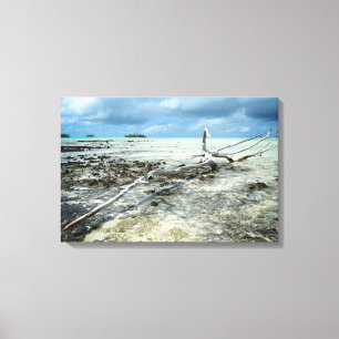 Dead wood in the Pacific canvas print