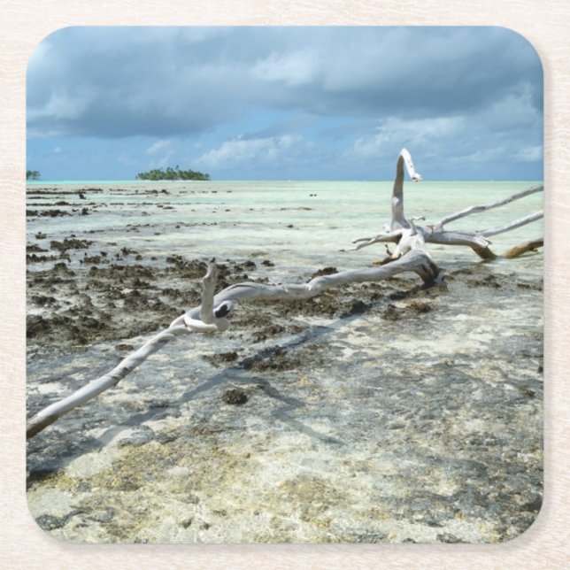 Dead wood in the Pacific coaster (Front)