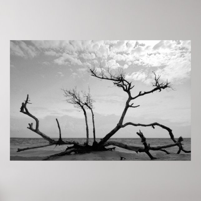 Dead Wood Poster (Front)