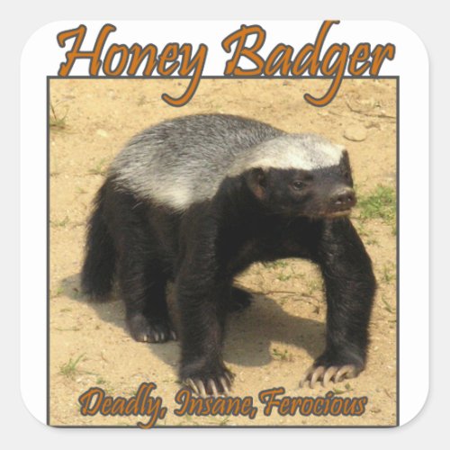 Deadly Insane Ferocious Honey Badger Sticker