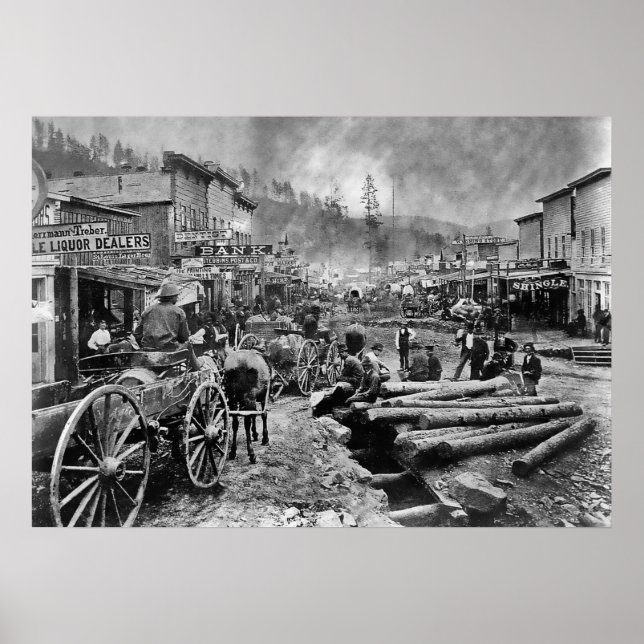 DEADWOOD SOUTH DAKOTA in 1876 Poster (Front)