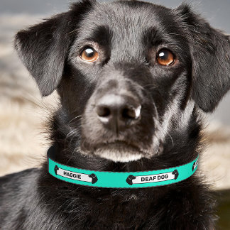 Deaf Dog - Black Dog Silhouettes - Teal Turquoise Pet Collar