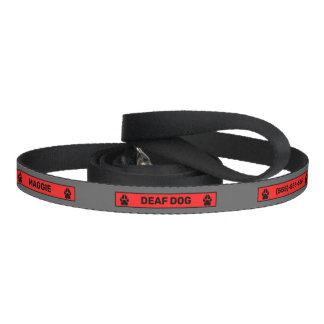 Deaf Dog - Black Paws - Red And Gray Pet Leash