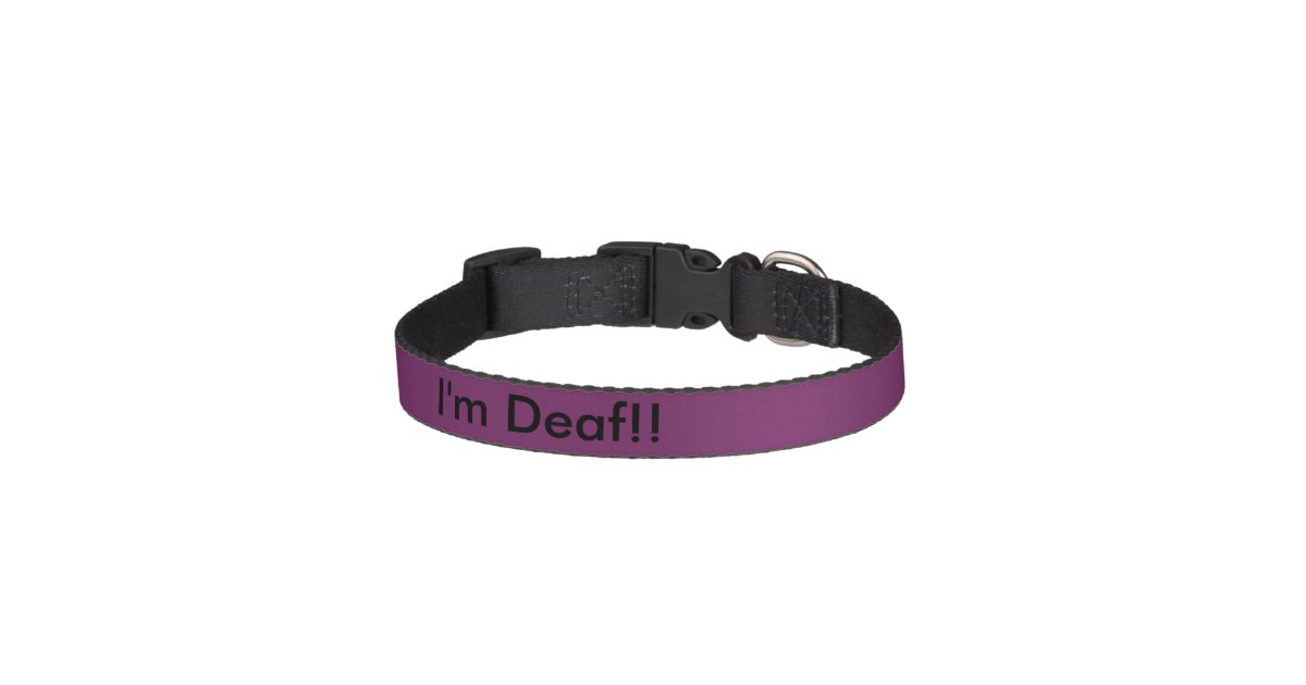 Deaf dog collar Zazzle