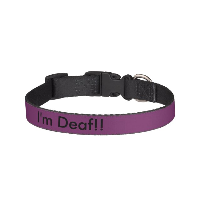 Deaf dog collar (Front)