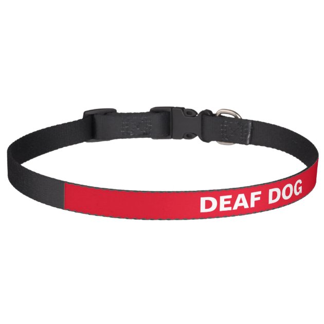 deaf dog collar