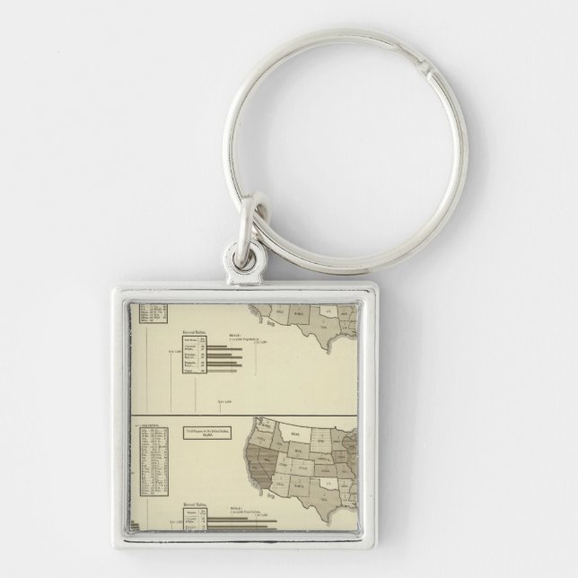 Deaf, Paupers, Prisoners statistical map Keychain (Front)