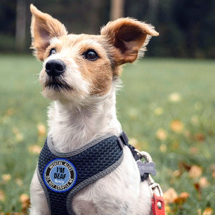 Deaf Pet Medical Do Not Startle Custom Name Blue Patch