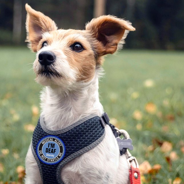 Deaf Pet Medical Do Not Startle Custom Name Blue Patch (Creator Uploaded)