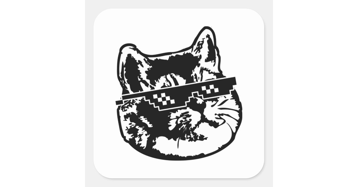 deal with it cat meme