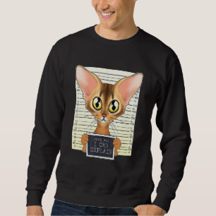 Dear Dad I Can Explain I Abyssinian Cat Dad I Abys Sweatshirt