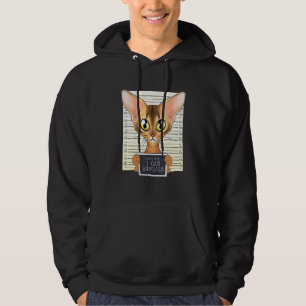 Dear Mom I Can Explain I Abyssinian Cat Mom I Abys Hoodie