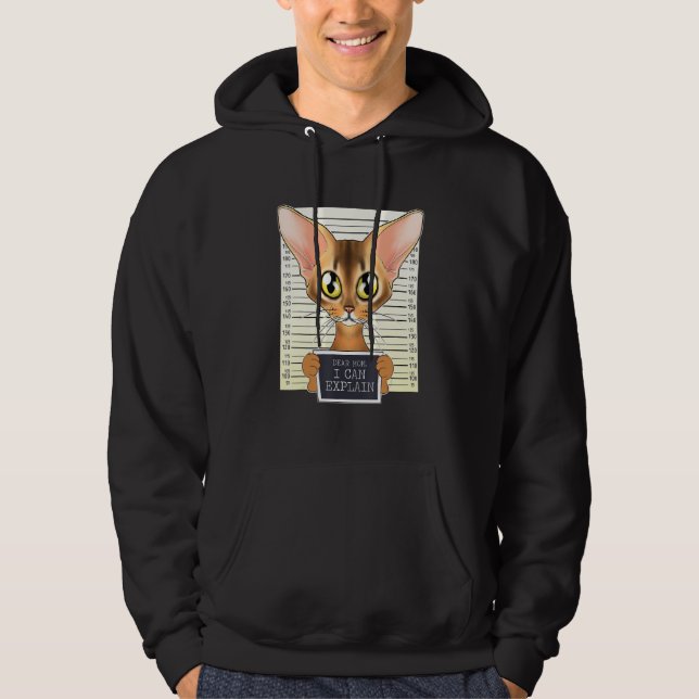 Dear Mom I Can Explain I Abyssinian Cat Mom I Abys Hoodie (Front)
