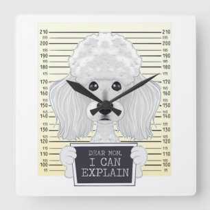 Dear Mom I Can Explain I Poodle Mom I Poodle Square Wall Clock