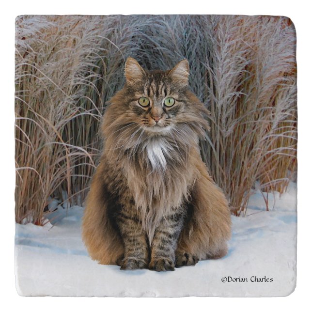 "Dear Prudence"  Trivet (Front)