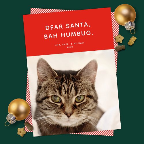 Dear Santa Bah Humbug Funny Holiday Photo