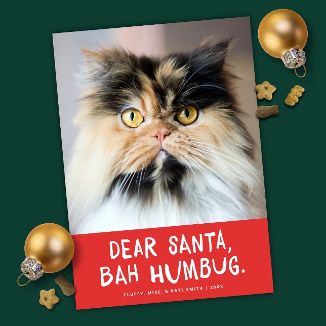 Dear Santa Bah Humbug Funny Pet Photo Holiday Card (Creator Uploaded)