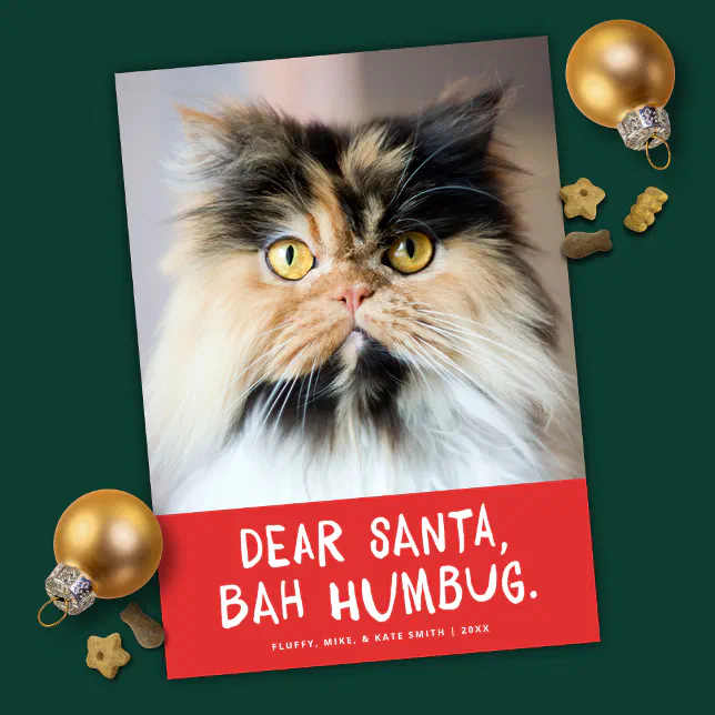 Dear Santa Bah Humbug Funny Pet Photo Holiday Card | Zazzle