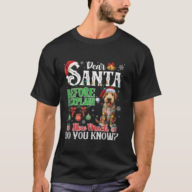Dear Santa Before Explain How Much You Know Aireda T-Shirt (Front)