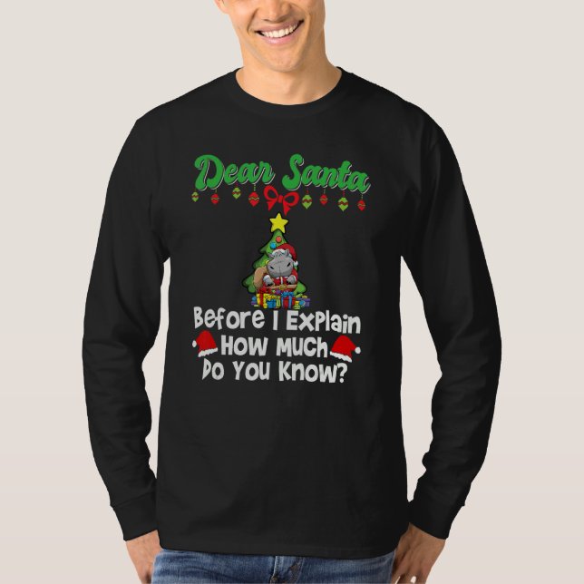 Dear Santa Before I Explain How Much Do You Know_3 T-Shirt (Front)