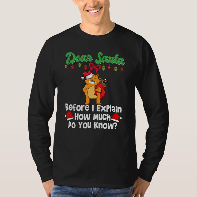 Dear Santa Before I Explain How Much Do You Know_3 T-Shirt (Front)