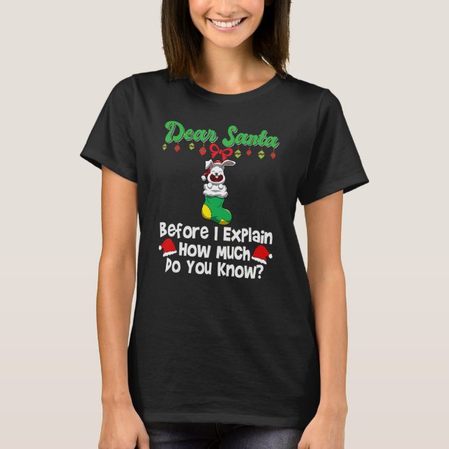 Dear Santa Before I Explain How Much Do You Know_3 T-Shirt (Front)