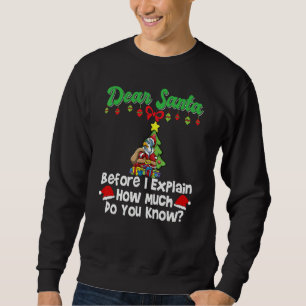 Dear Santa Before I Explain How Much Do You Know_5 Sweatshirt