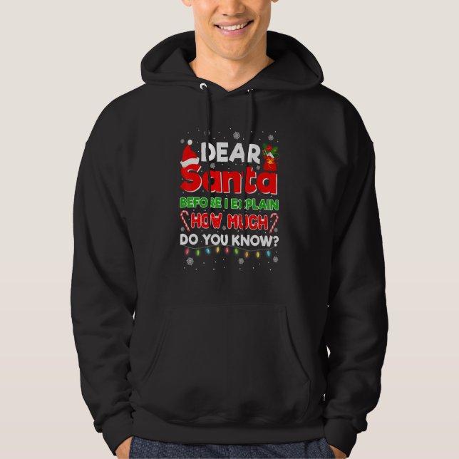 Dear Santa Before I Explain How Much Do You Know C Hoodie (Front)