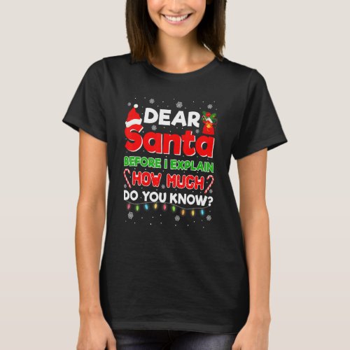 Dear Santa Before I Explain How Much Do You Know C T_Shirt