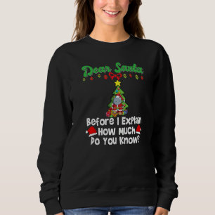 Dear Santa Before I Explain How Much Do You Know P Sweatshirt
