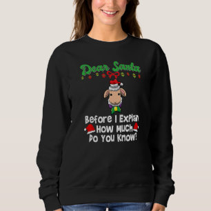 Dear Santa Before I Explain How Much Do You Know P Sweatshirt