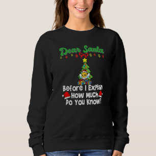 Dear Santa Before I Explain How Much Do You Know P Sweatshirt