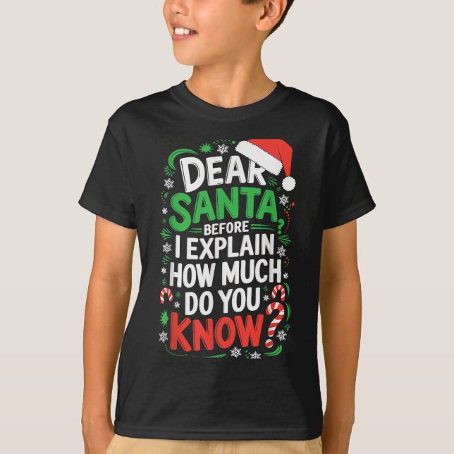 Dear Santa Before I Explain How Much Do You Know S T-Shirt (Front)