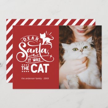 Dear Santa... Cat Funny Christmas Photo Card by oddowl at Zazzle