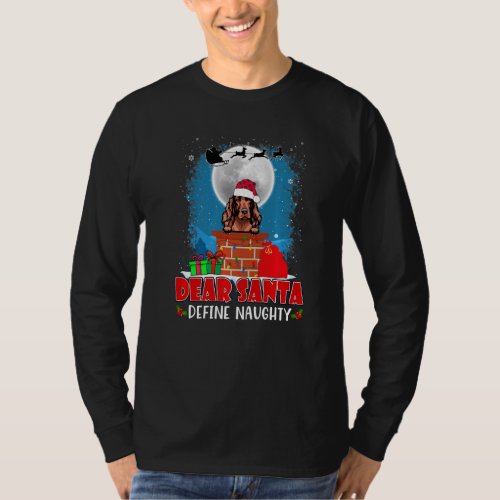 Dear Santa Define Naughty Irish Setter Dog Funny C T_Shirt