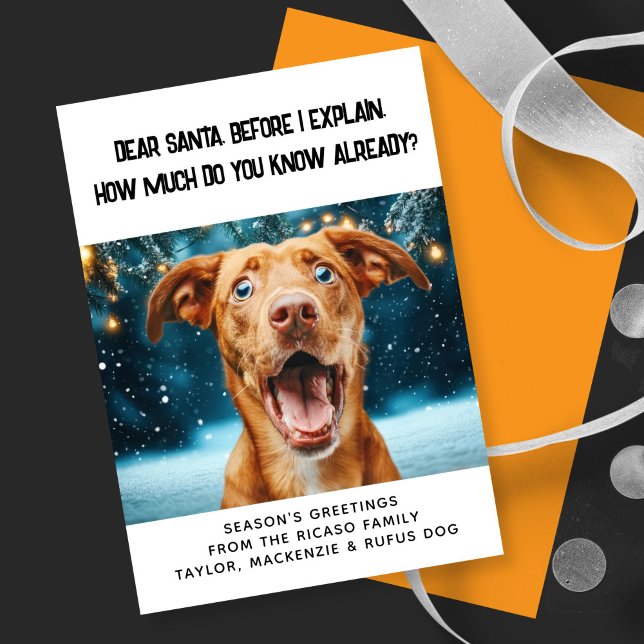 Dear Santa How Much Do You Know Already? Christmas Holiday Card (Dear Santa How Much Do You Know Already? Christmas Holiday Card by Ricaso. Personalized with photo
)