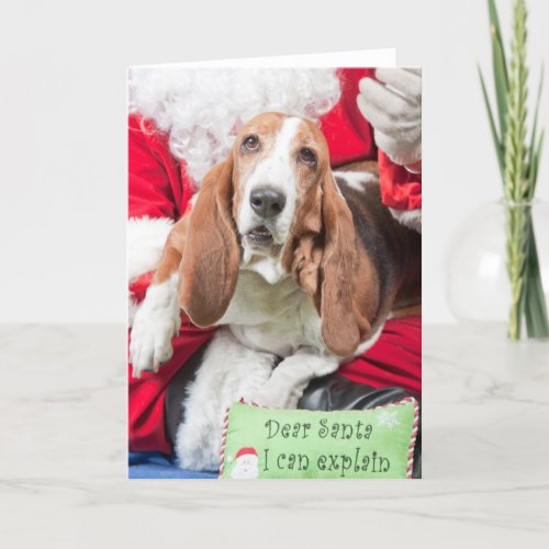 Dear Santa I can Explain Basset Hound Holiday Card