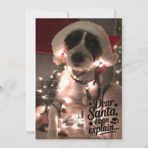 Dear Santa I can explain (dog) Card