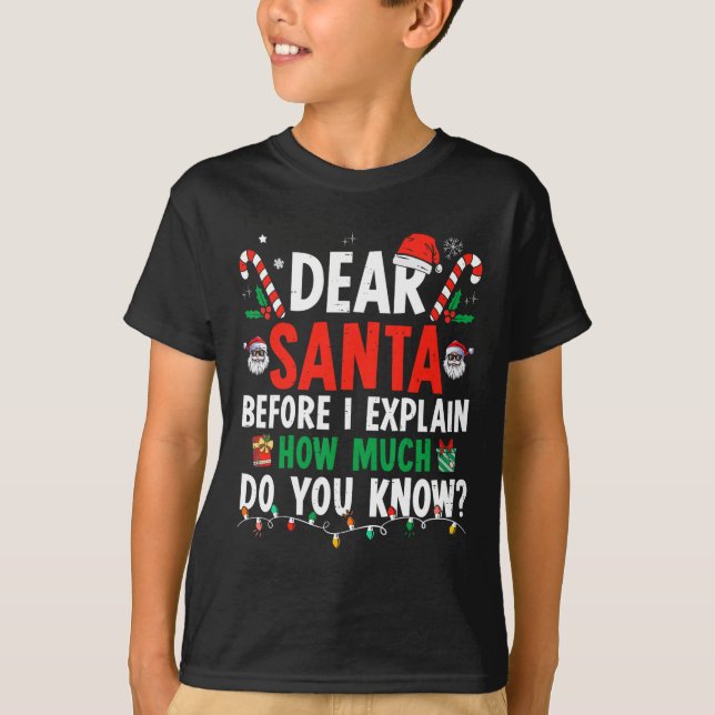 Dear Santa I Can Explain Fun Christmas  Kids Adult T-Shirt (Front)