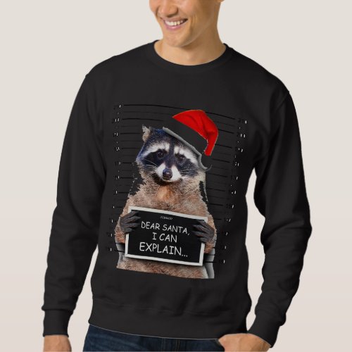 Dear Santa I Can Explain Funny Christmas Raccoon Sweatshirt