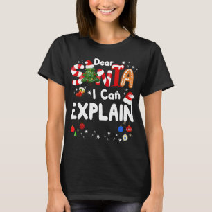Dear Santa I Can Explain Funny Christmas T-Shirt