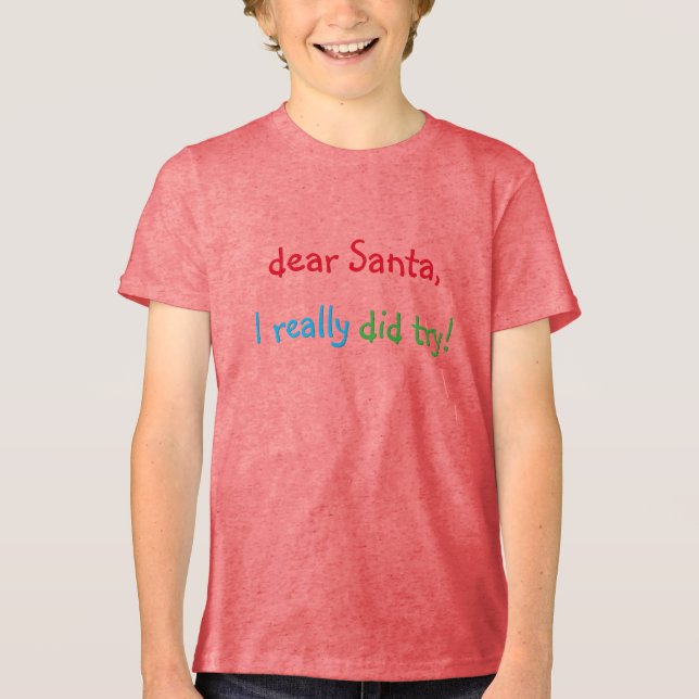 Dear Santa I Really Did Try Funny Christmas Tshirt (Front)